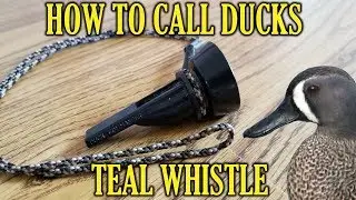 The Teal Whistle | How To Call Ducks