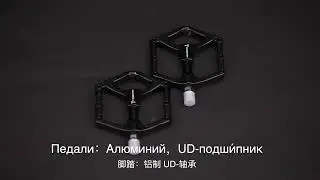 D206