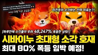 시바이누(SHIB) 최대 80% 이상 폭등 임박! 하루 소각률 48,247% 폭발! 대형 고래가 8천만 개 전격 소각, 드디어 시바이누 탈출 기회 왔다!