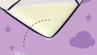 ClevaMama Support Mattress