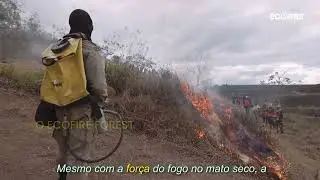 Teste em Campo   Ecofire 2025