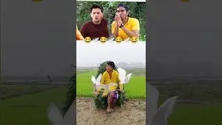 😂🕊️Birds #BirdVideo #Nature😂🕊️