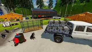 Refuge pour animaux domestiques accueille des chiens et chats abandonnés | Farming Simulator 22