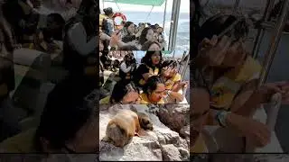 Viajes de estudio con DYC Tours - Lima Per&uacute;