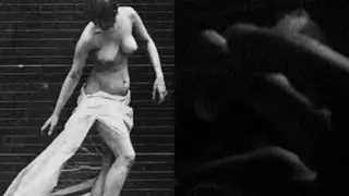 Obscurities within the great dark