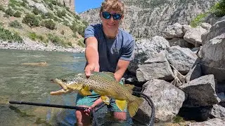 Ep. 1 Huge brown trout jumps!