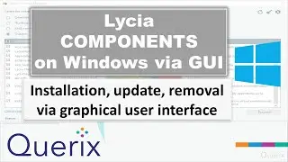 Querix Package Manager GUI on Windows | Querix