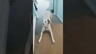 a good short story!