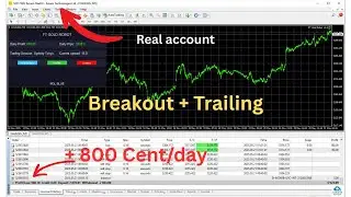 FT Gold EA Review | XAUUSD Breakout Bot Real Tested on MT4