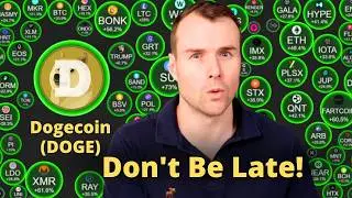The Dogecoin Crash - An Opportunity? 🤩 DOGE Crypto Token Analysis