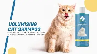 VOLUMISING CAT SHAMPOO | FLUFF'N BUFF PETCARE