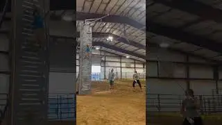 Ruby hit 13.8 on the wall #bullymax #pitbulls #dogsports