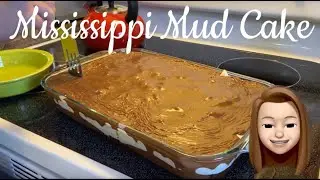 Mississippi Mud Cake Fun