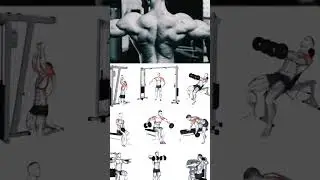 SHOLDER 🫵 gym workout video #gym #workout #shoulder #gymworkout #gymgirl#fa9la