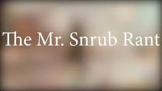 The Mr. Snrub Rant