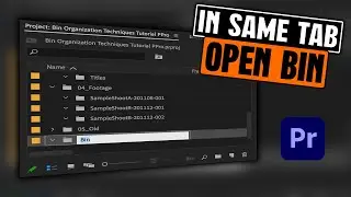 Prevent A Bin From Opening In A New Tab In Adobe Premiere Pro (2025)