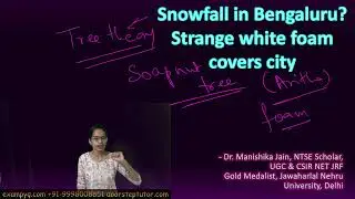 Snowfall in Bengaluru? Strange white foam covers city|Soapnut Tree #aritha #soapnut #bengalurusnowf