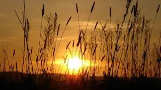 Dave Horne - Bright (Castra Sovve Deep Mix)