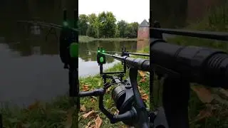 CRAZY CARP RUN🤯🔥 #carpfishinguk