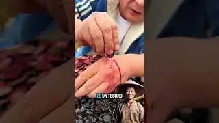 China's Rare Fruit Hides #short #youtubeshorts #shorts #youtube #youtubeshort #youtubevideo #yt