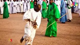 أولاد الشيخ البرعي - اللالوبة مشكاة القلوبا