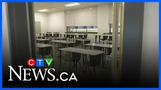 ATA рассматривает правовые варианты в преддверии принятия закона | CTV News Calgary Noon Update о...