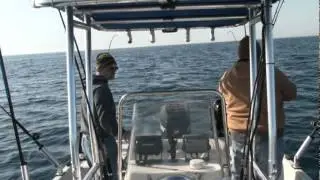 Lake Huron Steelhead