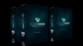 VIDEOOWIDE Vol.2 Review and $26,900 bonus - AWESOME!