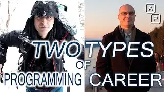 Which career path should you choose in Software Development? Use frameworks or not?