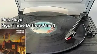 Pink Floyd - Pigs (Three Diffrent Ones) [vinyl rip]