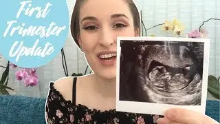 First Trimester Pregnancy Update | TheTarative