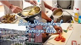 Foreign Life Struggles 🇮🇪 | Simple Daily Routine & Cooking for self/family 🍲 | Indian in Ireland 🇮🇳