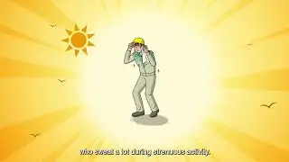 Sunlyte Heat Stress Film