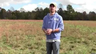 Problems with Sage in Pasture Video
