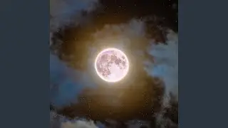 Gutta (feat. Takeflight Marta)