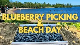 Blueberry Picking @ Blue Ridge Farm & Aylesford Lake Beach | A day trip in Nova Scotia