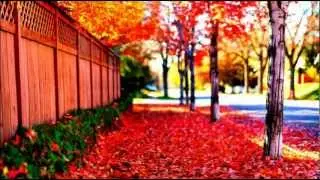 Wiotka Ręka - The Sunny Side Of The Street (Hip Hop Instrumental)