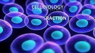 Cell Interaction Part 12 Contact Inhibition By Shwetha C