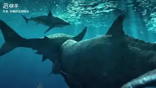 Dolphins Beach Themselves to Catch Fish #viralvideo #sea #attackontitan