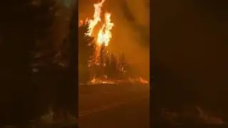 MAJOR Wildfire Burns in Chubut Province, Argentina - Jan. 9, 2026