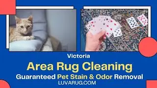Area Rug Cleaning Pet Stain and Odor Removal Victoria BC