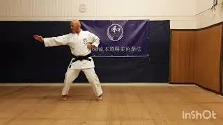 Naihanchi Kata by Kyoshi Saito Takewaki - Wadoryu Karate | Wadoryu Hon Dojo