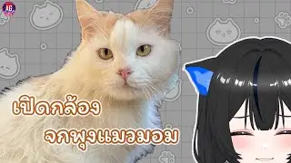 【 เปิดกล้อง】จกพุงแมวมอมหรือพุงท่านยม 🧿 #aggc