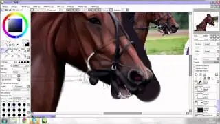 Harness racing horse speedpaint