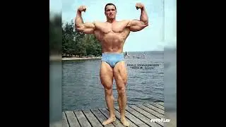 #arnoldschwarzenegger#beast #boss#bodybuilding #hardwork #gymmotivation#bodybuildingnation#training