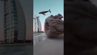 FLYING WHALE 🐋 🐳 #Dubai #shorts