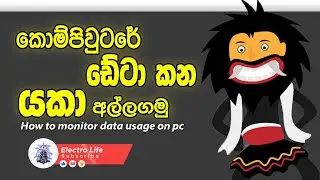ඔයාගේ Data කන යකාව අල්ලගමු | How to monitor data usage on pc | Internet usage monitoring software