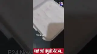 महिला ने ऑनलाइन मंगाई आइसक्रीम, डब्बा खोलते ही दिखी भयंकर चीज #ıcecream #millipede #amul #blinkit