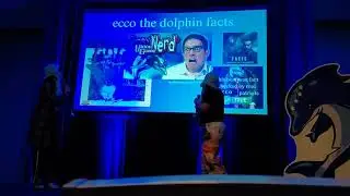 Ecco the dolphin 2025 sonic expo atlanta panel 