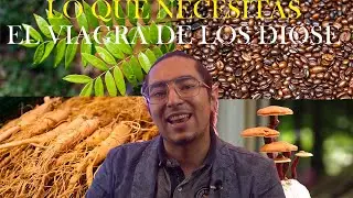 Propiedades y Beneficios del vita cafe 6 en 1 |